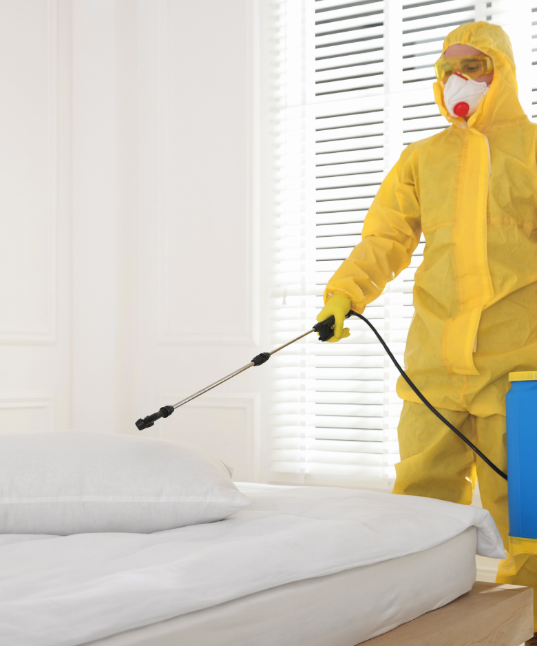 Professional Pest Control Team in Welland